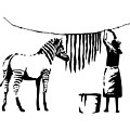 Zebra Wash